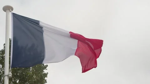 French Flag Waving in Wind on Cloudy Day in Dunkirk Vídeos de archivo 321572955