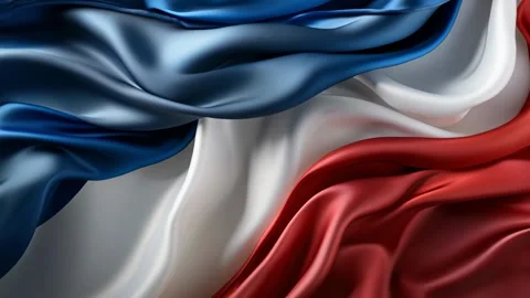 French flag waving in the wind with elegant folds Stock Footage 317017244