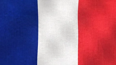 French flag waving in the wind Stock Footage 340180071