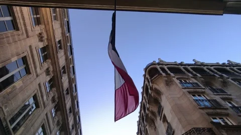 French Flag Waving in the Wind with Parisian Buildings in Background Vidéo 336500004