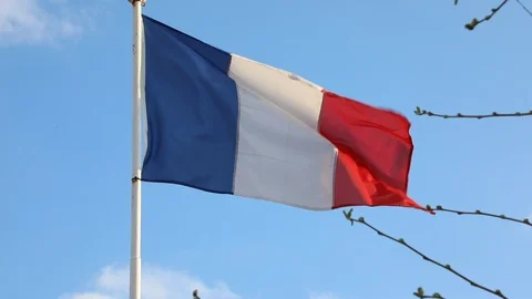 French flag waving on windy and cloudy sky Stock Footage 107335652