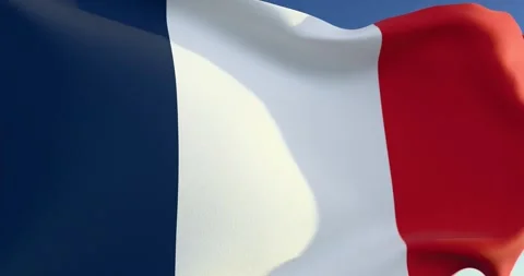 French flag in the wind Stock Footage 300207746