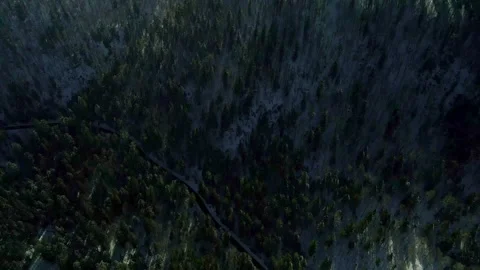 French Forest Winter Drone Stock-Footage 172370770