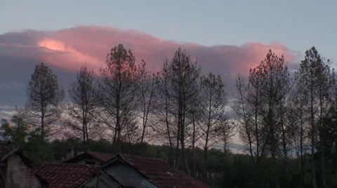 French forest in winter Stock Footage 50023403