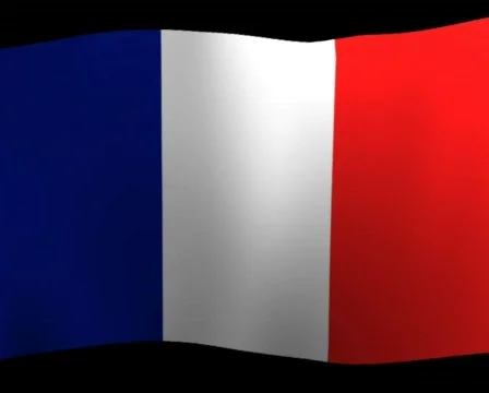 French France Flag Loop Stock Footage 324768