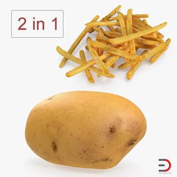 French Fries and Raw Potato Collection 3D Model