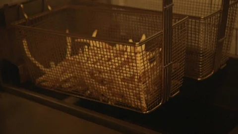 French Fries Vídeo Stock 103231668