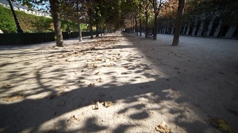 French garden Paris Stock-Footage 102837604