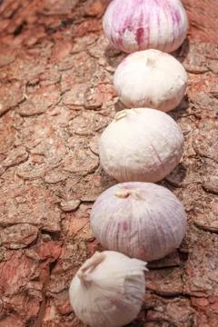 French garlic on tree bark Stock Photos