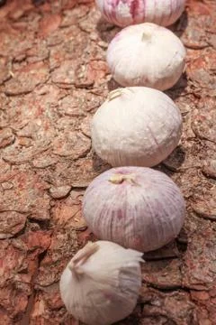 French garlic on tree bark Stock Photos