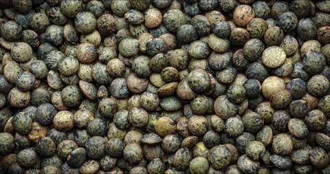 French green lentils top view rotating Stock Footage 237602582