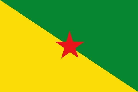 French Guiana flag vector Stock Illustration