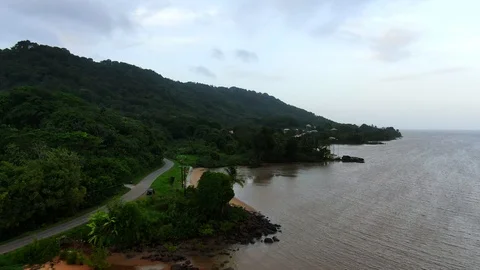 French Guyana coast, wild beach, green jungle. Stock Footage 119192009