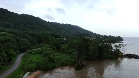 French Guyana coast, wild beach, green jungle. Stock Footage 119192155