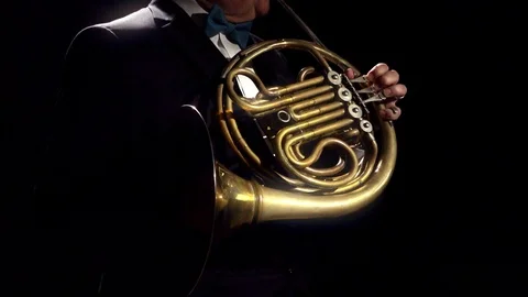 French Horn Video stock 111933324