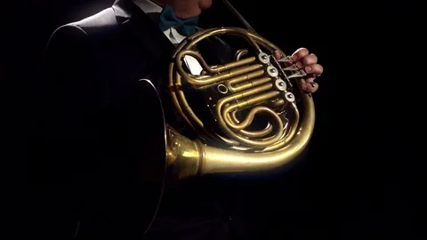 French Horn Player Video stock 111933605