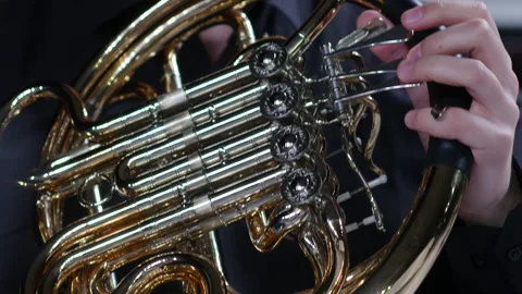 French horn player playing in a classical in symphony orchestra. Video stock 277832022