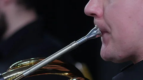 French horn player playing in a classical in symphony orchestra.  Stock Footage 277832712
