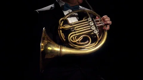 French Horn Player in Shadows Video stock 111932501