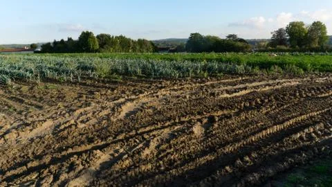 French landscape, fields in Auvers-sur-Oise Stock Photos