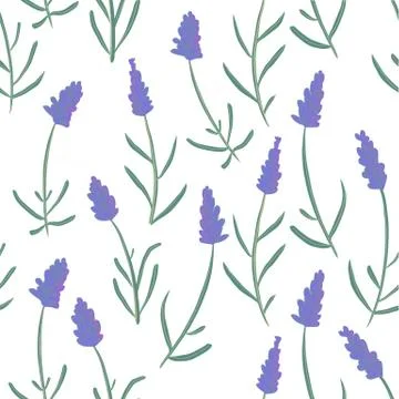 French lavender decorative pattern isolated on white background. Seamless Stock Illustration