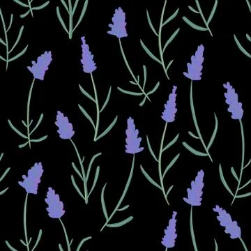 French lavender decorative pattern isolated on black background. Seamless Stock Illustration