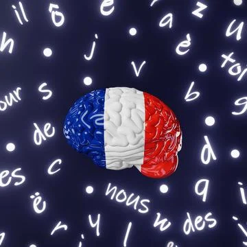 French Learning Foreign language fluency improvement Human brain glowing le.. Stock Photos