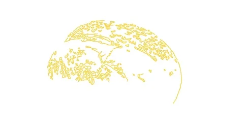 French loaf. Pattern Stock Footage 81537170