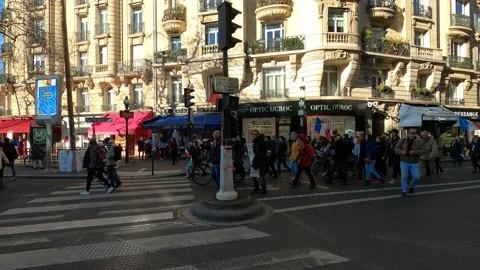 French lockdown protesters in Paris with a Canadian flag. Stock-Footage 238630459