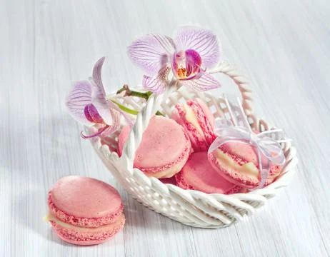 French macarons with orchid Stock Photos