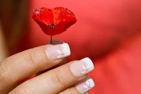 French manicure Stock Photos