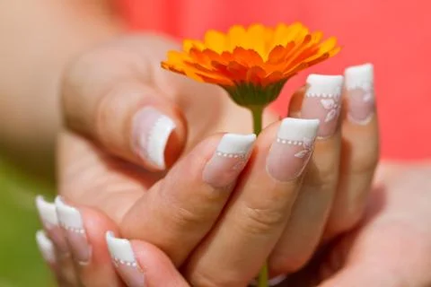 French manicure Stock Photos