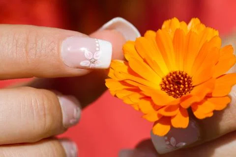 French manicure Foto stock