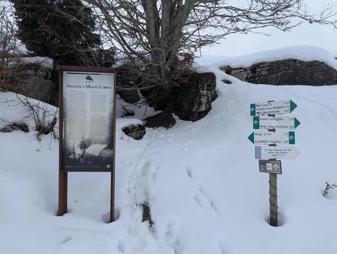 The French on Mount Corno Photos