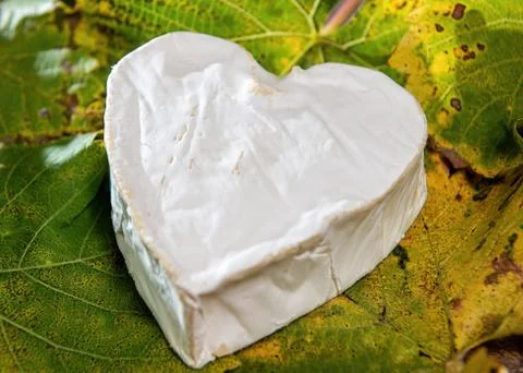 French Neufchatel cheese shaped heart on autumn leaves Stock Photos