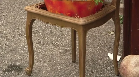 French open sign; Ouvert Stock Footage 8682321