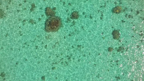 French Polynesia Aerial Reef 4k Stock Footage 92806684