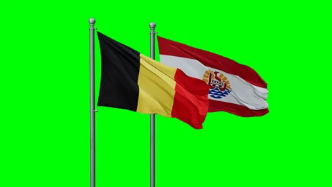 French Polynesia and Belgium two flags Stock Footage 289634520