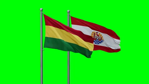 French Polynesia and Bolivia two flags Stock Footage 293204237