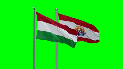 French Polynesia and Hungary two flags Stock Footage 291184328