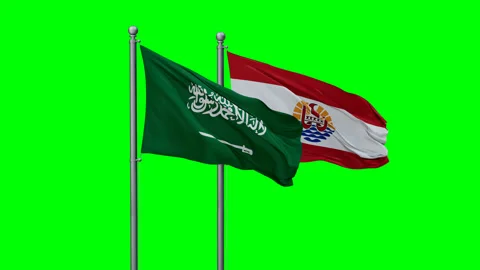 French Polynesia and Saudi Arabia two flags Stock Footage 289657053