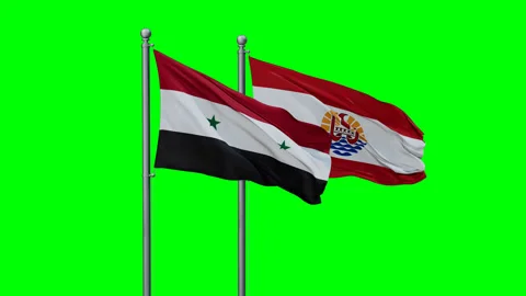 French Polynesia and Syria two flags Stock Footage 294263514