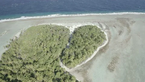 French Polynesia Broken Hear Island Fakarava Stock Footage 168724532
