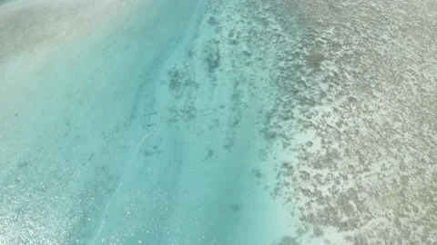 French Polynesia Coco Beach Moorea Stock Footage 168731379