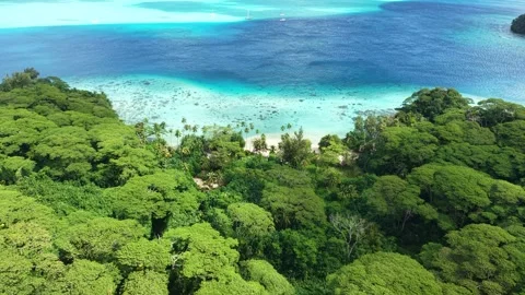 French Polynesia, Drone View of Tropical Jungle Above Secluded Beach With White Video stock 347757410