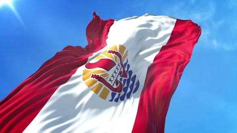 French Polynesia Flag Low Angle View Stock Footage 295690582