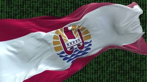 French Polynesia flag - Waving flag on matrix binary code background Stock Footage 321421161