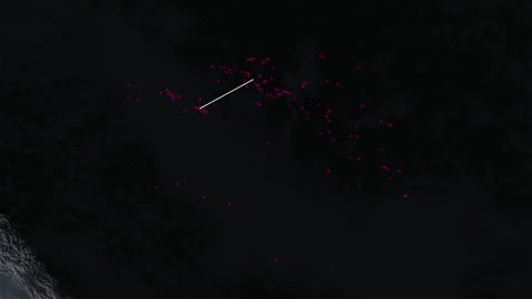French Polynesia map on Earth at night Stock Footage 292927276