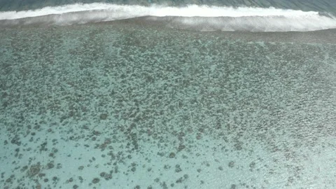 French Polynesia Ocean and Reef Breaking French Polynesia Stock Footage 168728528