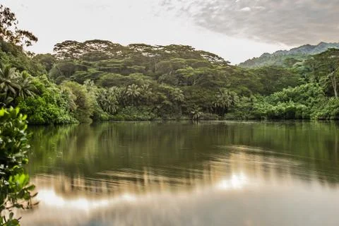 FRENCH POLYNESIA Stock Photos